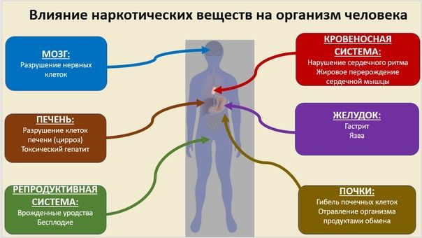 Воздействие вредных веществ на организм человека презентация