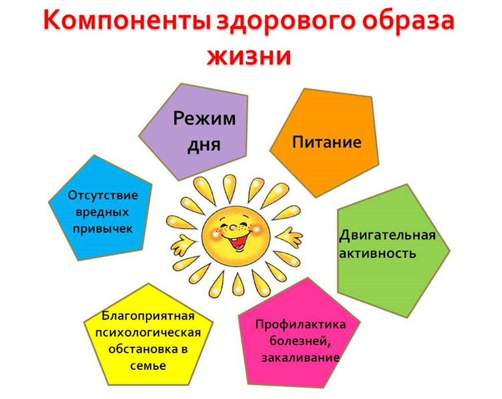 Составляющие здоровый образ жизни человека презентация