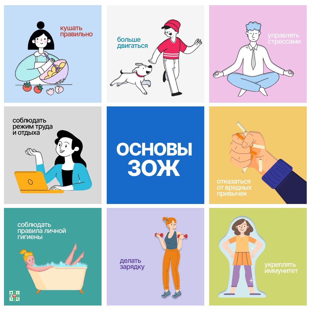 Основы зож презентация