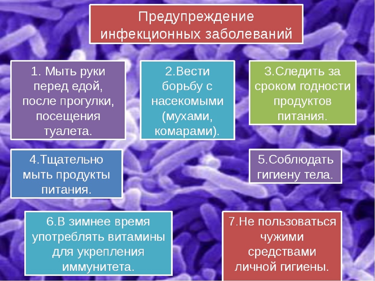 Презентация по сбо инфекционные заболевания меры по их предупреждению