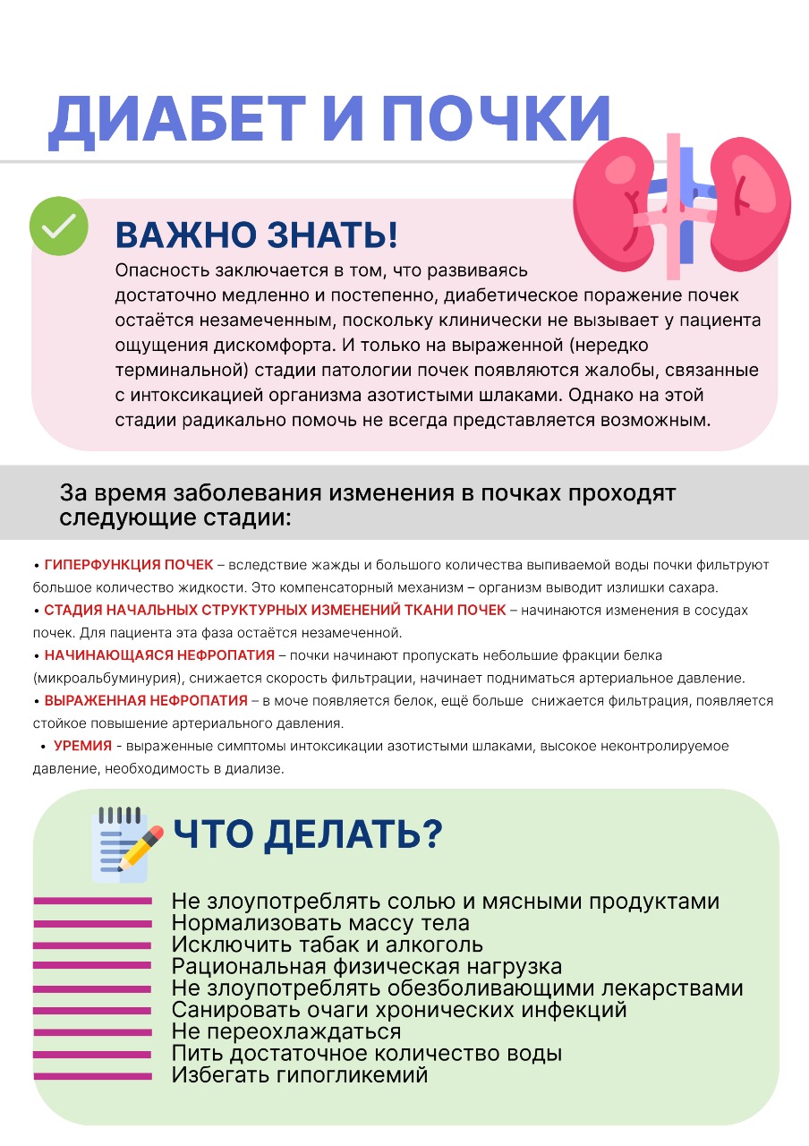 Диабет и почки.jpeg