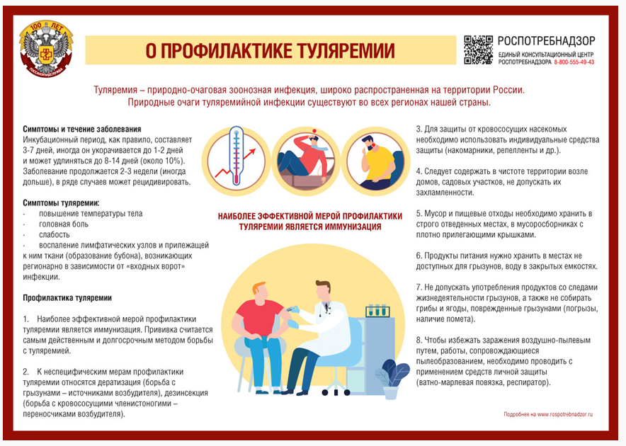 Рекомендации гражданам. Профилактика туляремии.png